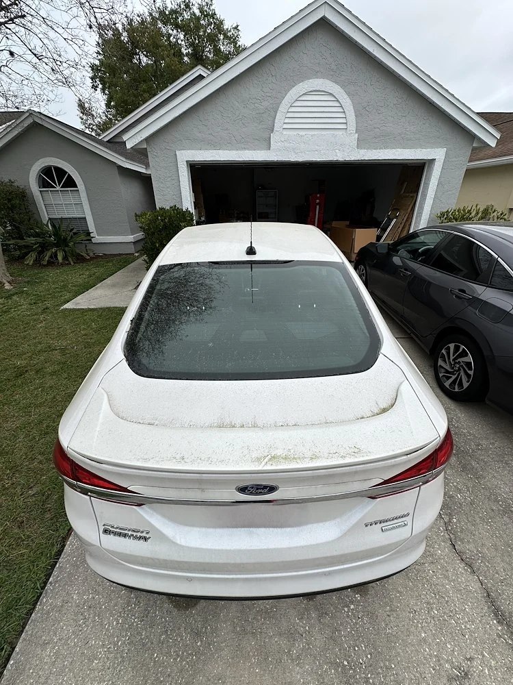 Back passenger interior before